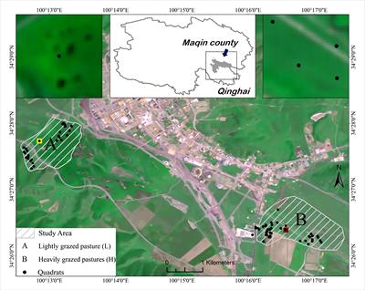 Assessment of the vegetation sensitivity index in alpine meadows with a high coverage and toxic weed invasion under grazing disturbance